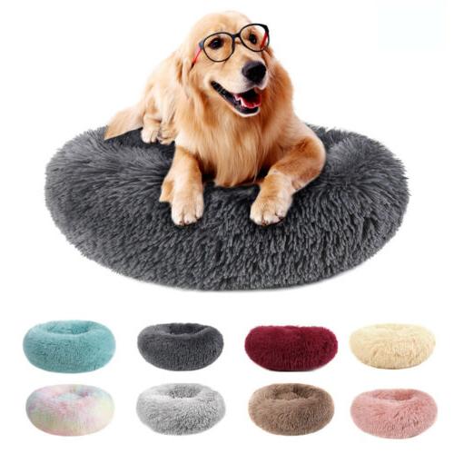 26 HQ Photos Calming Pet Bed Chewy - Pawpy™ Calming Pet Bed | Dog pet beds