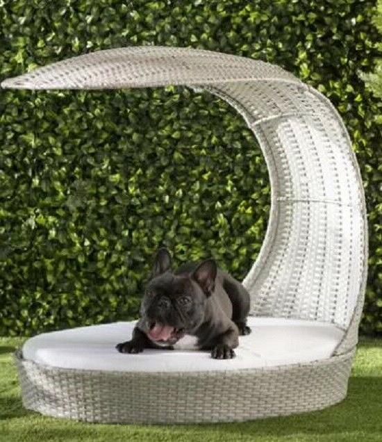 Large Dog Bed Shelter from Sun Outdoor/Indoor Wicker